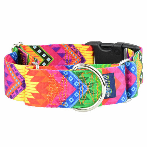 BFF (Best Friends Forever) Buckle Martingale Dog Collar – EarthStyle by 2 Hounds Design