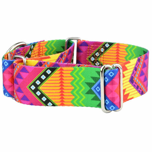 BFF (Best Friends Forever) Martingale Dog Collar – EarthStyle by 2 Hounds Design