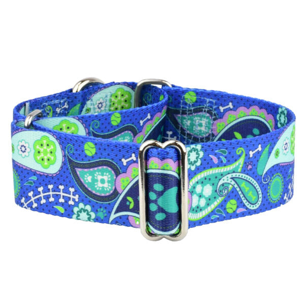 Paw Paisley Martingale Dog Collar – EarthStyle by 2 Hounds Design