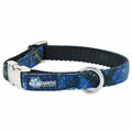 Midnight Winter Plaid Velvet Essential Dog Collar by 2 Hounds Design