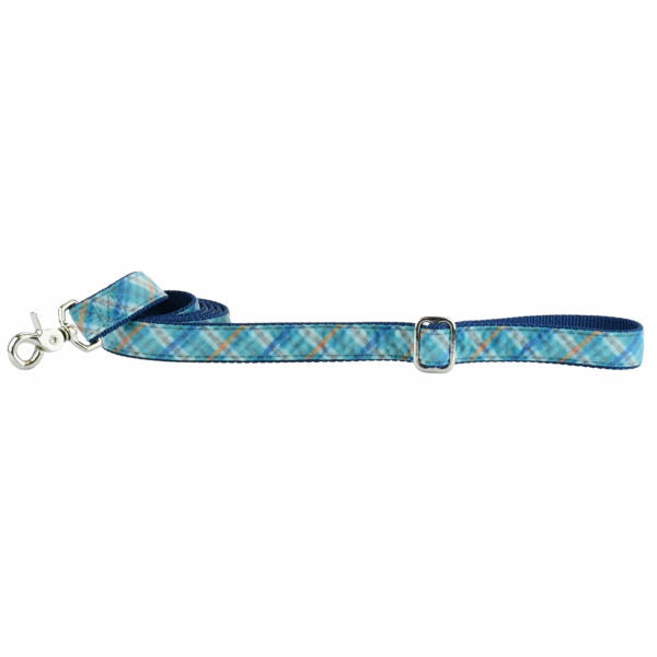 Blue Plaid Velvet Dog Leash by 2 Hounds Design