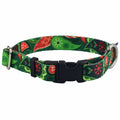 Holiday Paisley Dog Collar – EarthStyle by 2 Hounds Design