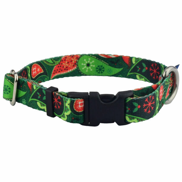 Holiday Paisley Dog Collar – EarthStyle by 2 Hounds Design