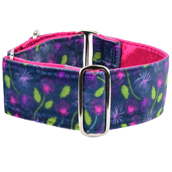 Midnight Dahlia Elite Velvet Martingale Dog Collar by 2 Hounds Design