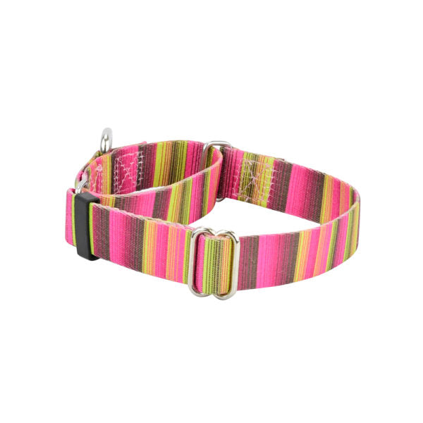 Bonnie Martingale Dog Collar – EarthStyle by 2 Hounds Design