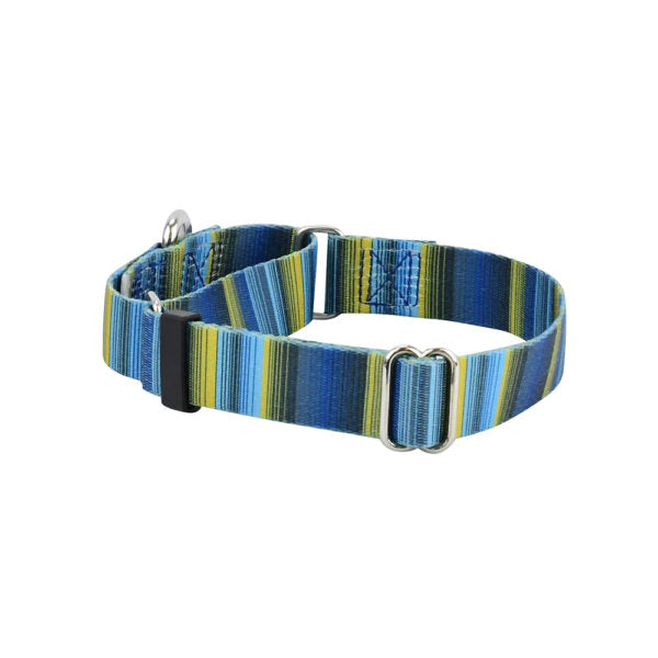 Clyde Martingale Dog Collar – EarthStyle by 2 Hounds Design