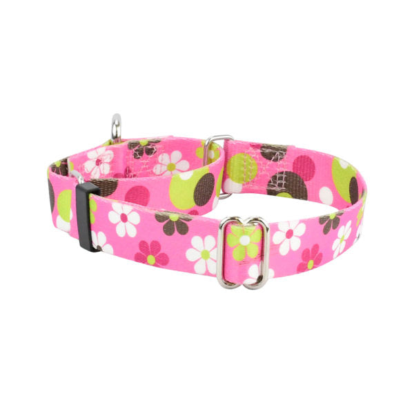 Daisy Dot Martingale Dog Collar – EarthStyle by 2 Hounds Design