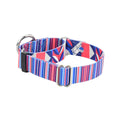 Rocky Martingale Dog Collar – EarthStyle by 2 Hounds Design