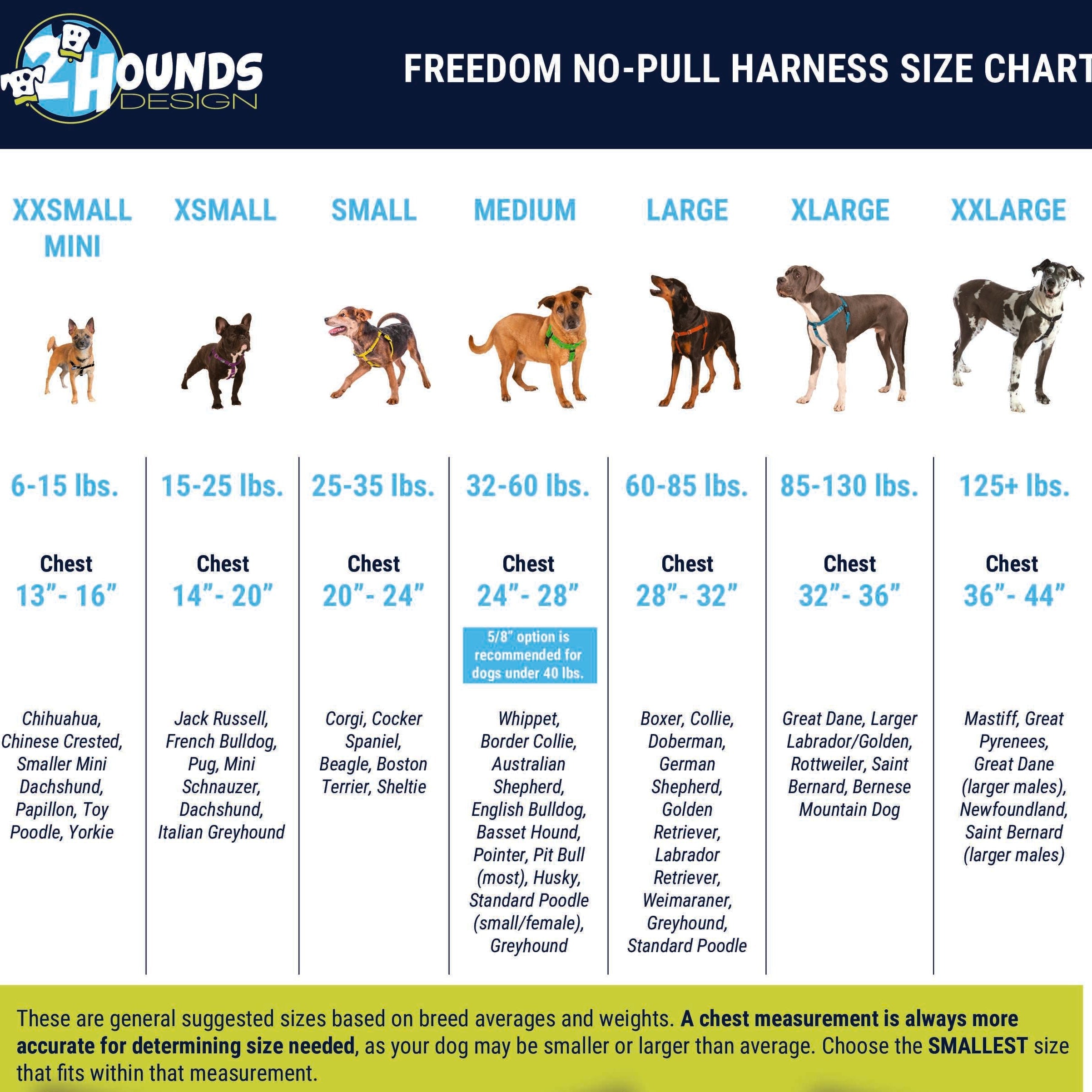 Silver Freedom No-Pull Dog Harness by 2 Hounds Design