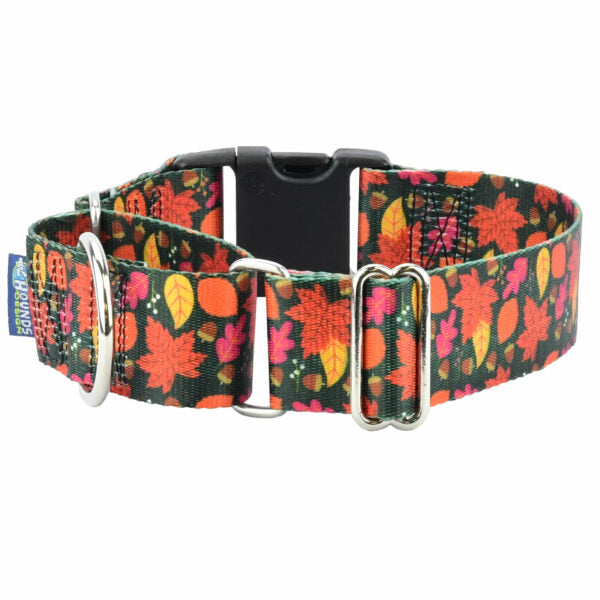 Falling Leaves Buckle Martingale Dog Collar – EarthStyle by 2 Hounds Design