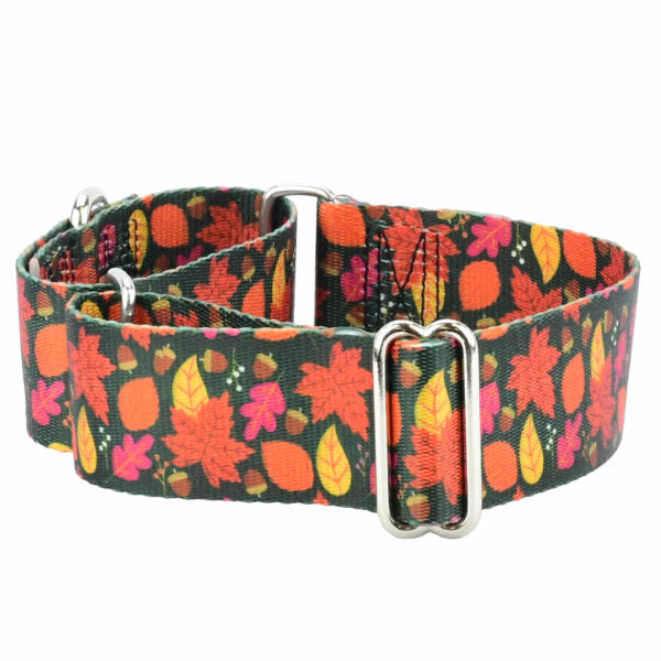Falling Leaves Martingale Dog Collar – EarthStyle by 2 Hounds Design
