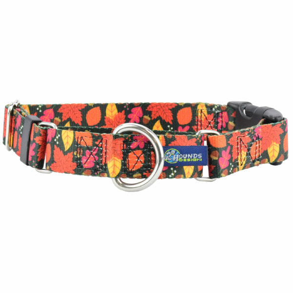 Falling Leaves Buckle Martingale Dog Collar – EarthStyle by 2 Hounds Design