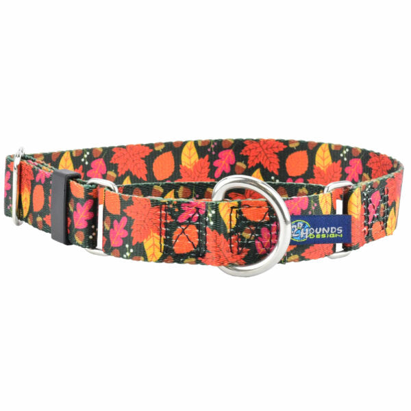 Falling Leaves Martingale Dog Collar – EarthStyle by 2 Hounds Design