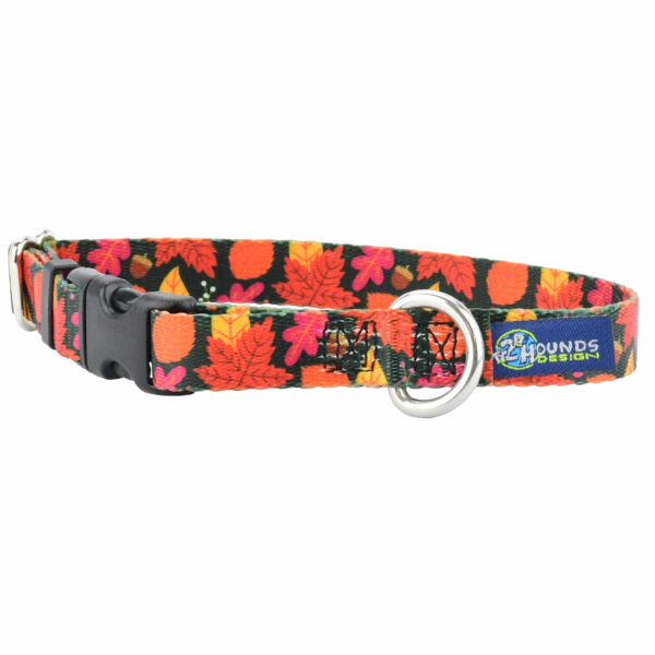 Falling Leaves Dog Collar – EarthStyle by 2 Hounds Design
