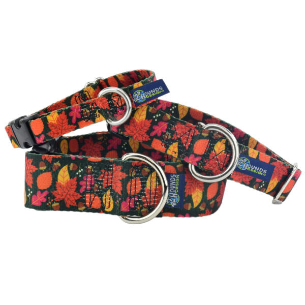 Falling Leaves Dog Collar – EarthStyle by 2 Hounds Design