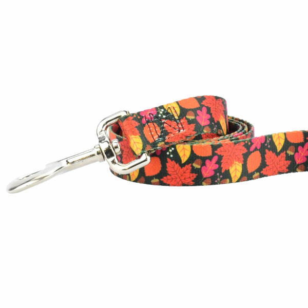 Falling Leaves Dog Leash – EarthStyle by 2 Hounds Design