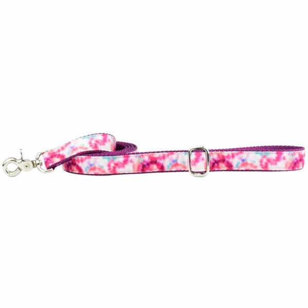 Pink Tie-Dye Velvet Dog Leash by 2 Hounds Design