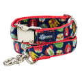 Cozy Sweaters Velvet Essential Buckle Martingale Dog Collar (1″ Only) by 2 Hounds Design
