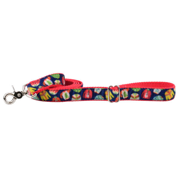 Cozy Sweaters Velvet Dog Leash (1″ Only) by 2 Hounds Design