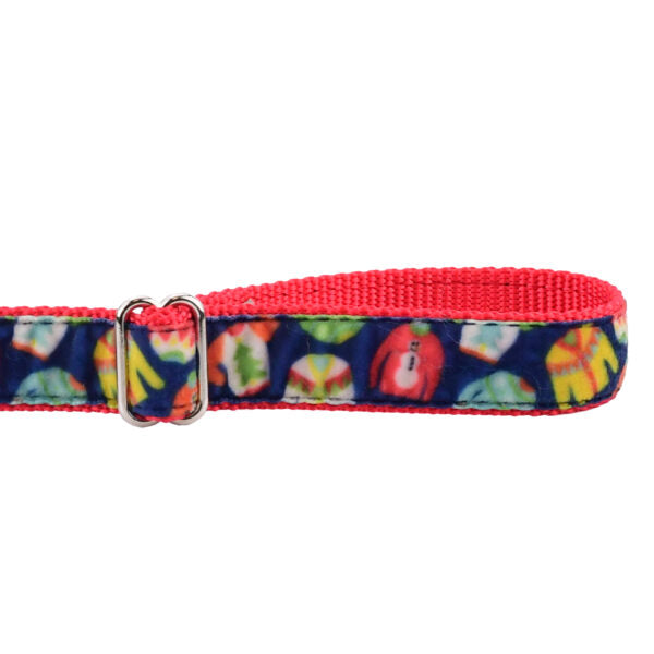 Cozy Sweaters Velvet Dog Leash (1″ Only) by 2 Hounds Design