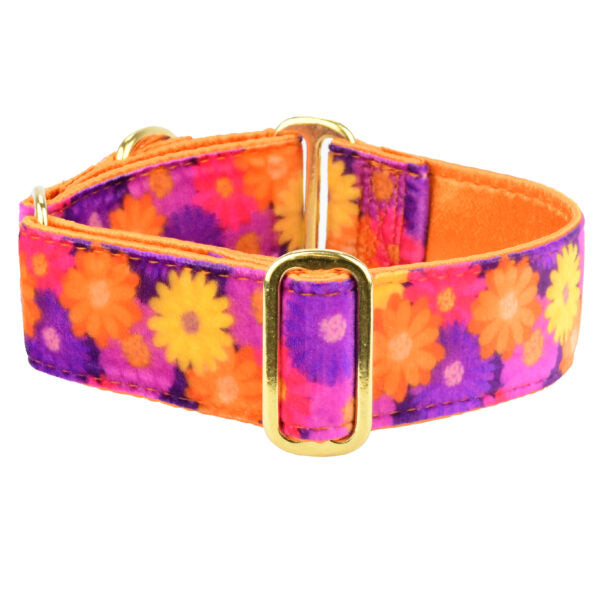 Gerbera Daisy Elite Velvet Martingale Dog Collar by 2 Hounds Design