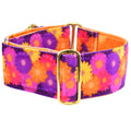 Gerbera Daisy Elite Velvet Buckle Martingale Dog Collar by 2 Hounds Design