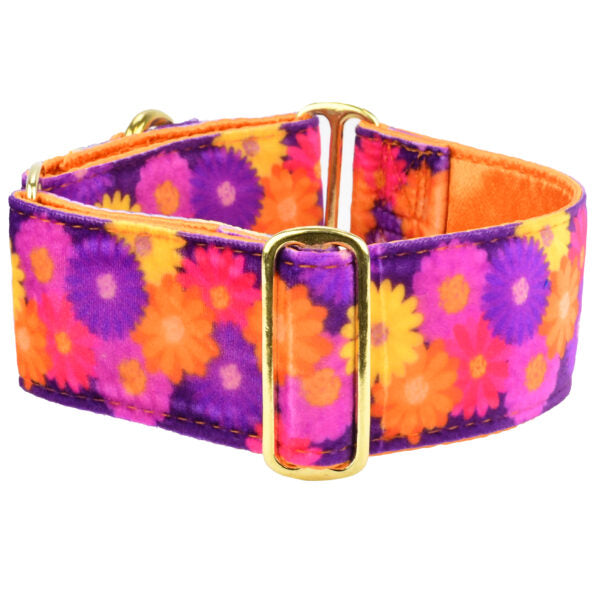 Gerbera Daisy Elite Velvet Martingale Dog Collar by 2 Hounds Design