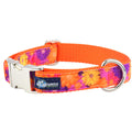 Gerbera Daisy Velvet Essential Martingale Dog Collar (1″ Only) by 2 Hounds Design