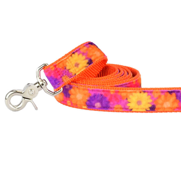 Gerbera Daisy Velvet Dog Leash (1″ Only) by 2 Hounds Design