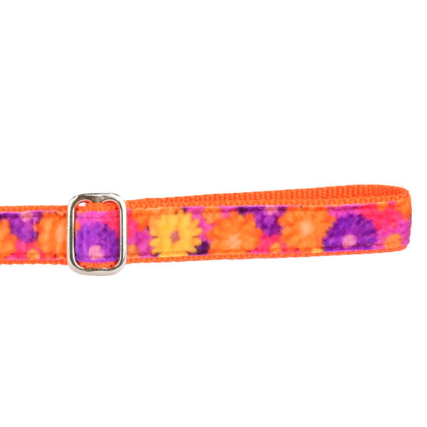 Gerbera Daisy Velvet Dog Leash (1″ Only) by 2 Hounds Design