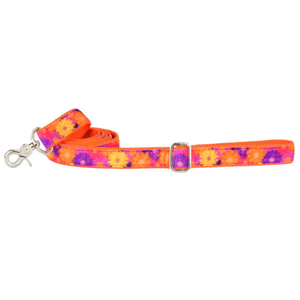 Gerbera Daisy Velvet Dog Leash (1″ Only) by 2 Hounds Design