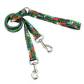 Holiday Graffiti Double Connection Leash – EarthStyle by 2 Hounds Design