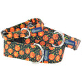 Jack O Lantern Martingale Dog Collar – EarthStyle by 2 Hounds Design