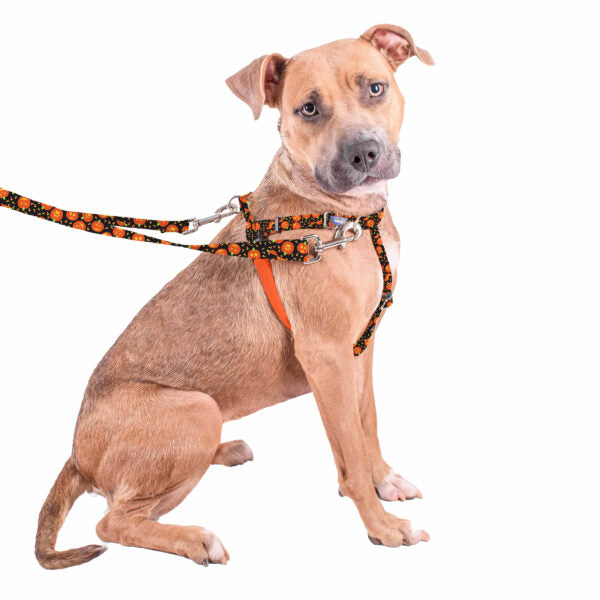 Jack O Lantern Freedom No-Pull Dog Harness – EarthStyle by 2 Hounds Design