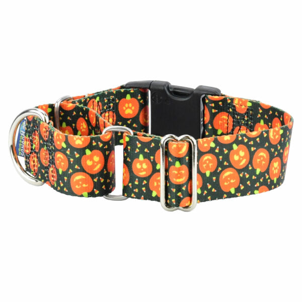 Jack O Lantern Buckle Martingale Dog Collar – EarthStyle by 2 Hounds Design