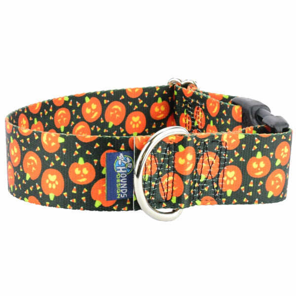 Jack O Lantern Dog Collar – EarthStyle by 2 Hounds Design