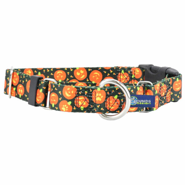 Jack O Lantern Buckle Martingale Dog Collar – EarthStyle by 2 Hounds Design