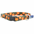 Jack O Lantern Dog Collar – EarthStyle by 2 Hounds Design