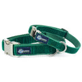 Kelly Green Velvet Essential Dog Collar by 2 Hounds Design