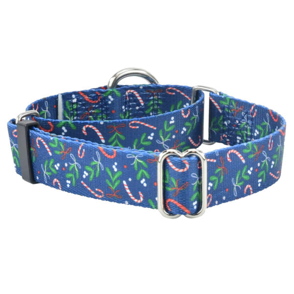 Kiss The Dog Christmas Holiday Martingale Dog Collar – EarthStyle by 2 Hounds Design