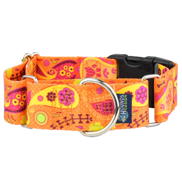 Orange Paisley Buckle Martingale Dog Collar – EarthStyle by 2 Hounds Design