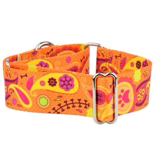 Orange Paisley Martingale Dog Collar – EarthStyle by 2 Hounds Design