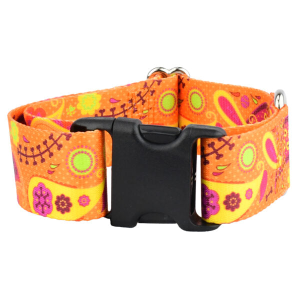 Orange Paisley Dog Collar – EarthStyle by 2 Hounds Design