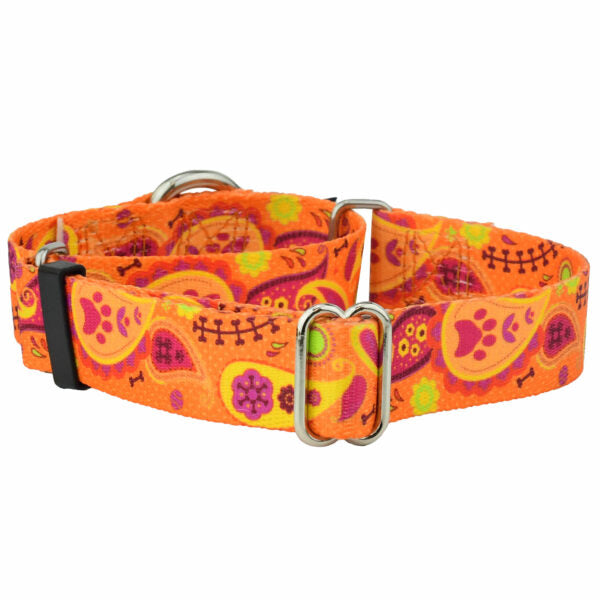 Orange Paisley Martingale Dog Collar – EarthStyle by 2 Hounds Design