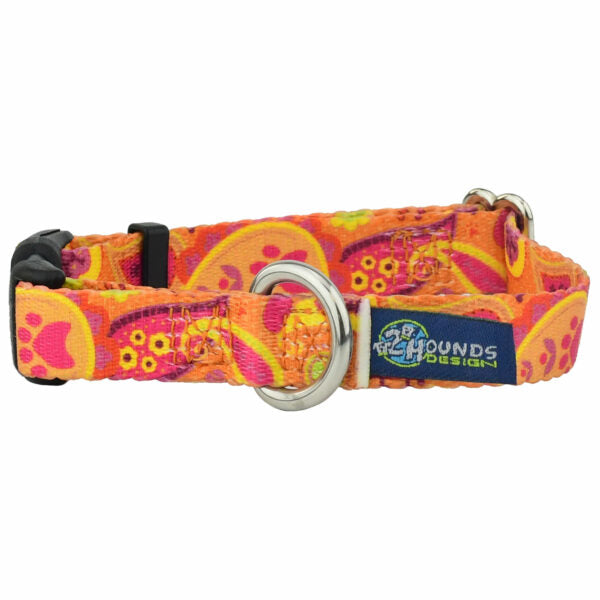 Orange Paisley Dog Collar – EarthStyle by 2 Hounds Design
