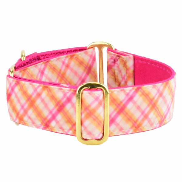 Pink Plaid Elite Velvet Martingale Dog Collar by 2 Hounds Design