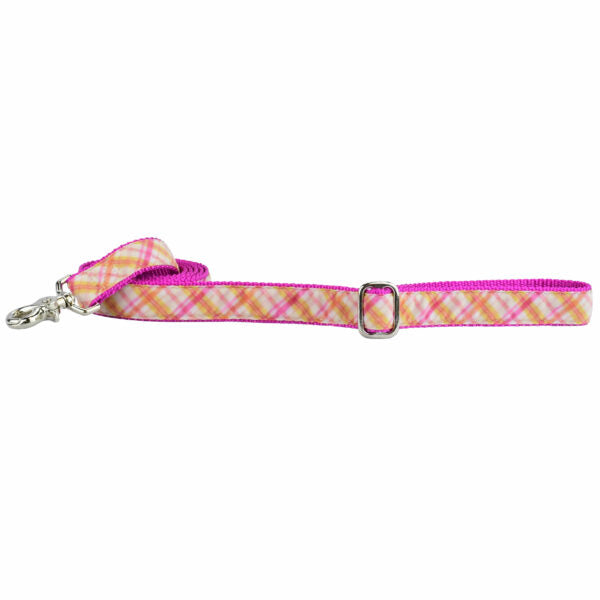 Pink Plaid Velvet Dog Leash by 2 Hounds Design