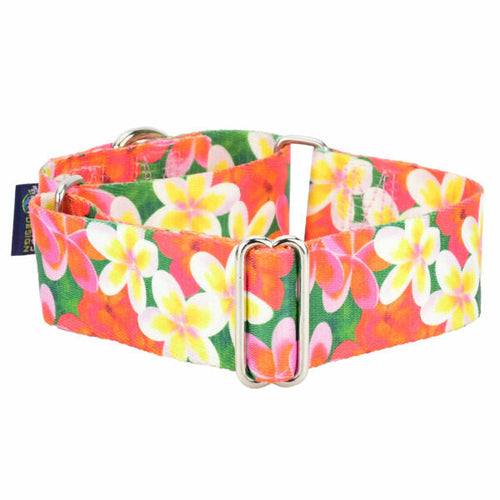 Aloha Martingale Dog Collar – EarthStyle by 2 Hounds Design