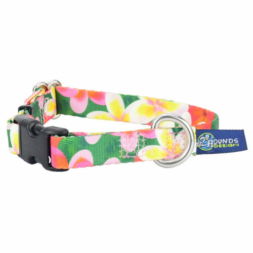 Aloha Dog Collar – EarthStyle by 2 Hounds Design
