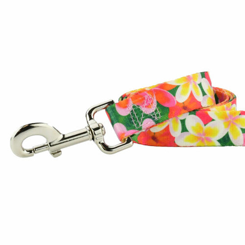 Aloha Dog Leash – EarthStyle by 2 Hounds Design